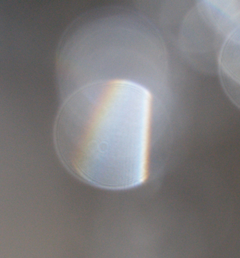 Light refracted in a water orb