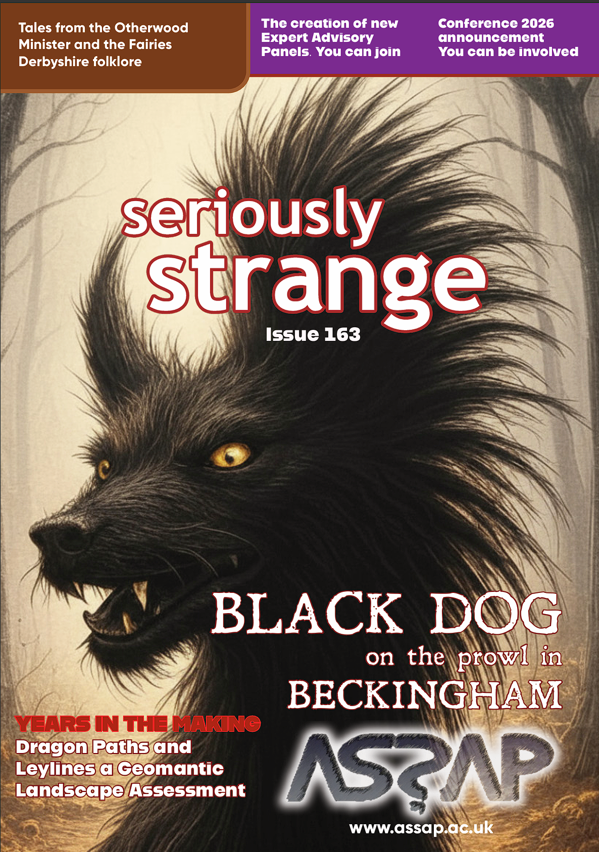 Seriously Strange Issue 163