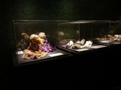 Cursed Doll populate