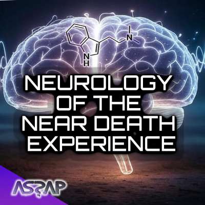 Neurology of The Near Death Experience | Anthony Peake